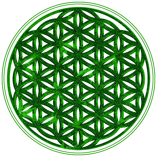 Fleur de vie - Symbole de vie et d'harmonie